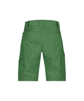Dassy ® Zion, Pesco38, ulmengrün, standard, 52