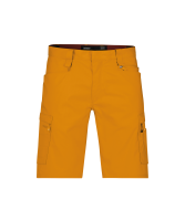 Dassy ® Zion, Pesco38, sonnenblumengelb, standard, 67