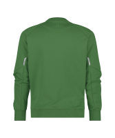 Dassy ® Dolomiti, Sweatshirt, Copes80, ulmengrün