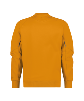Dassy ® Dolomiti, Sweatshirt, Copes80, sonnenblumengelb
