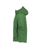 Dassy ® Tama, Pes83, ulmengrün, standard, XL